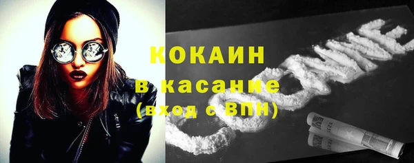 прущая мука Верея